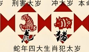 2025年犯太岁生肖，蛇、虎、猴、猪必看！